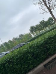 -HEYAN长风荷妍专业脱毛美肤
