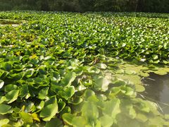-沈阳植物园