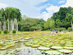 -中国科学院西双版纳热带植物园