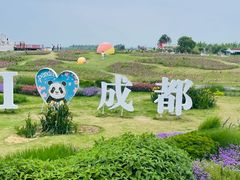 -空港花田景区