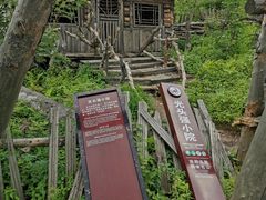 -凤凰山国家森林公园