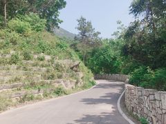 -木兰云雾山