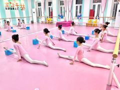 -桃子公主舞蹈培训(万柳校区)