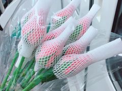 -循礼门鲜花花市(武汉循礼门店)