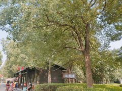 -艾溪湖湿地公园