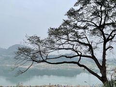 -洪霞餐馆