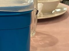 -真浪大家乐海鲜餐馆
