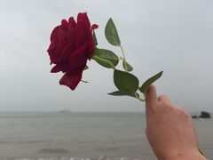 -白城沙滩