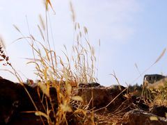 -蟠龙山长城景区