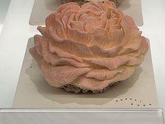 -潮一不贰·法式甜品·生日蛋糕·西式简餐(外滩店)