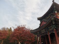 -香山公园