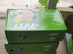 -马陆小张葡萄园农家乐