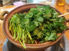 香菜-洪大厨鸡煲(福田店)