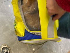 -半岛宠物医院24小时(西派城店)