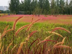 -汉长安城未央宫国家考古遗址公园