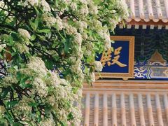 -西安大兴善寺