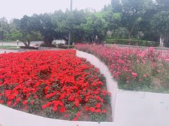 -深圳国际园林花卉博览园