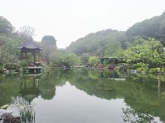 -云溪植物园