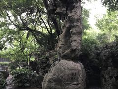 -绮园景区