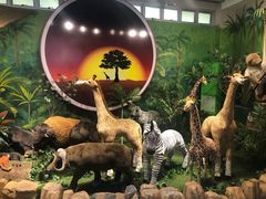 -济州岛泰迪熊博物馆