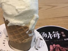 -野人先生现做冰淇淋(北京环宇荟店)