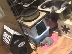 -约网咖(西塔店)