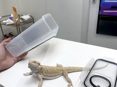 -立德异宠动物医院.兔鸟爬.内窥镜(天河店)
