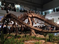-自贡恐龙博物馆
