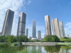 -大望京公园