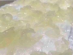 -金瑞轩大酒楼·顺德鱼生·粤菜海鲜(东江国际店)