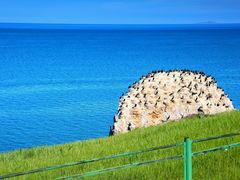 -青海湖国家重点风景名胜区