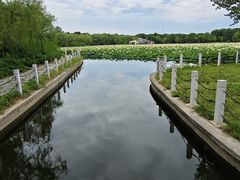 -廊坊市自然公园