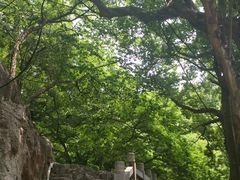 -青檀寺景区