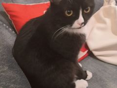 -么么咖啡(燕郊店)