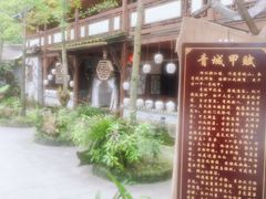 -青城甲(青城山店)