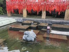 -淹城春秋乐园