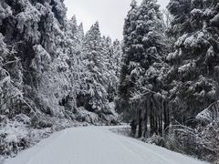 -武陵山森林公园