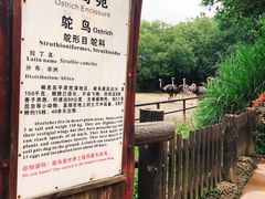 -南昌动物园