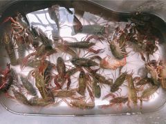 -华仔龙虾(永乐路总店)