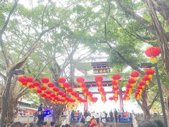 -东莞市大岭山森林公园