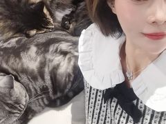 -包装马车·韩国料理·포장마차