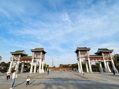-王借岗森林公园