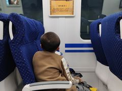 -临平南高铁站(地铁站)