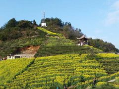 -石潭村