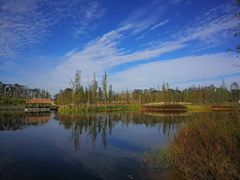 -白鹭湾湿地公园