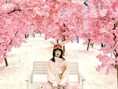 -广州热雪奇迹