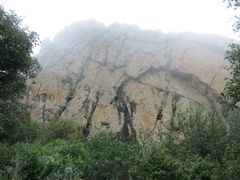 -白草畔自然风景区