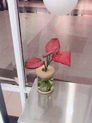 -时尚殿堂hair salon