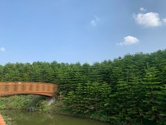 -迪茵湖田家舍生态农场