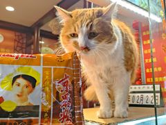 -大麒麟阁(扬州东关街店)